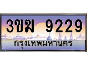 4.ทะเบียนรถ 9229 เลขประมูล 3ขฆ 9229 จากกรมขนส่ง