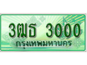 2.Okdee ทะเบียนสวยรถกระบะ - 3ฒธ 3000 ป้ายเขียวเลขประมูล