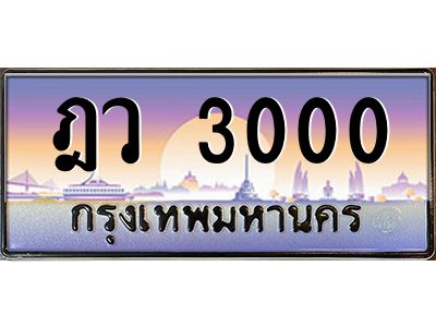 3000