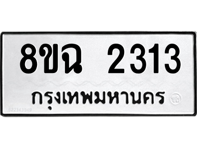 2313