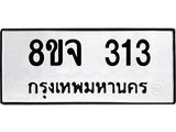 313