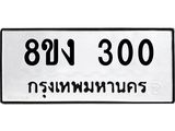 ทะเบียนรถ 300