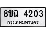 4203