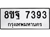 ทะเบียน 7393