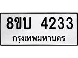 4233