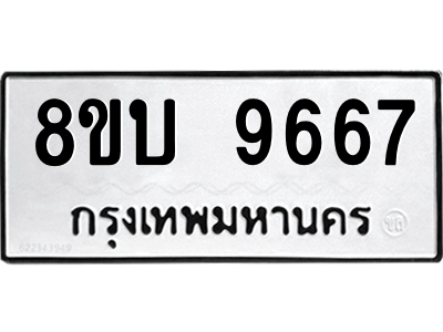 6208509010.png